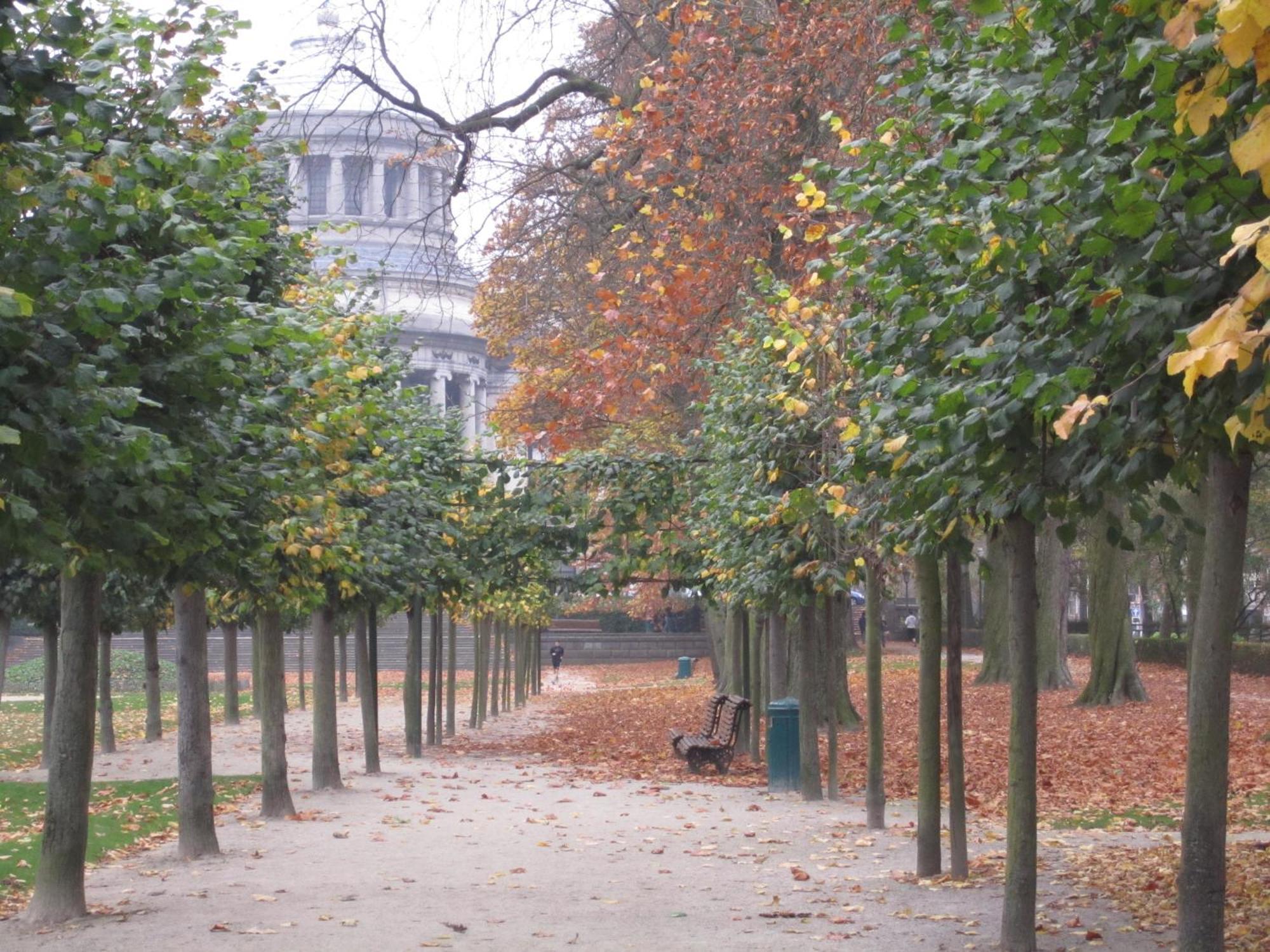 A Cote Du Cinquantenaire Etterbeek